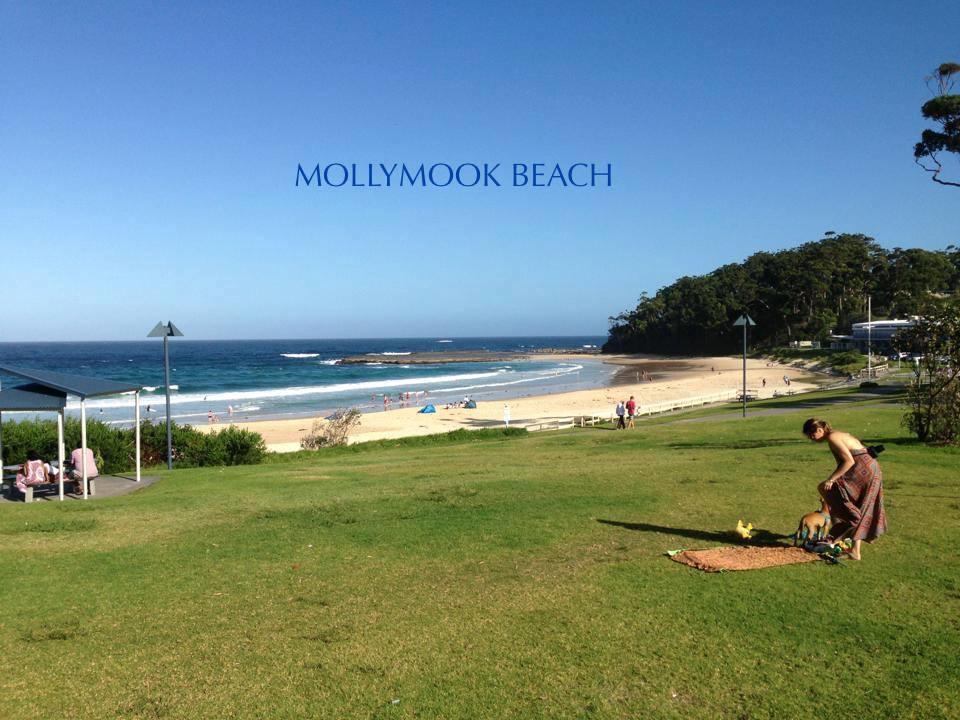 Beach House Mollymook Motel Kültér fotó